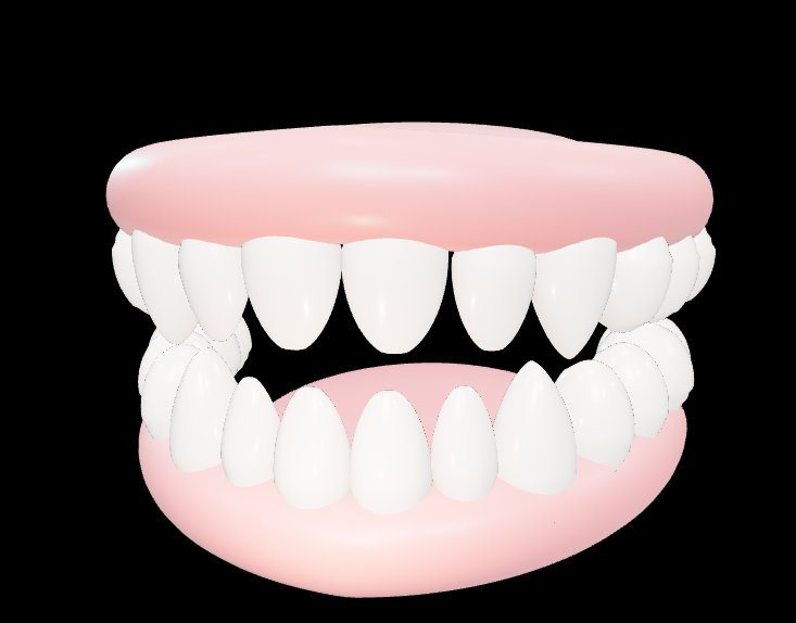 Illustration of upper and lower teeth and gums